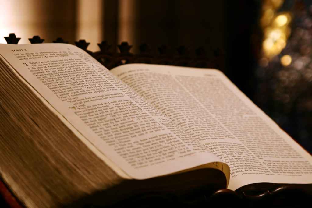 As obras magnas produzidas pela espécie humana para ficar na eternidade 13 A Biblia