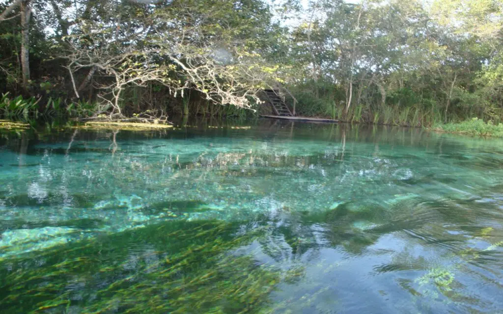 Lugares no Brasil para conhecer antes de morrer 6 Rio Sucuri Bonito MS