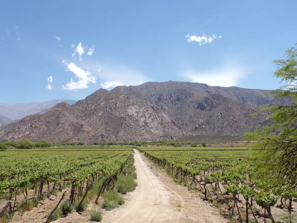 10 lugares na Argentina para conhecer antes de morrer 5 cafayate 2633150 1280