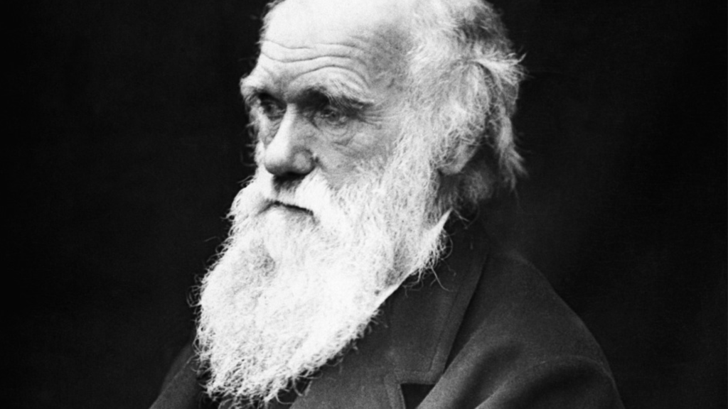 O sorriso do seu animal de estimação segundo a Teoria de Darwin 2 aaaaaaa 30