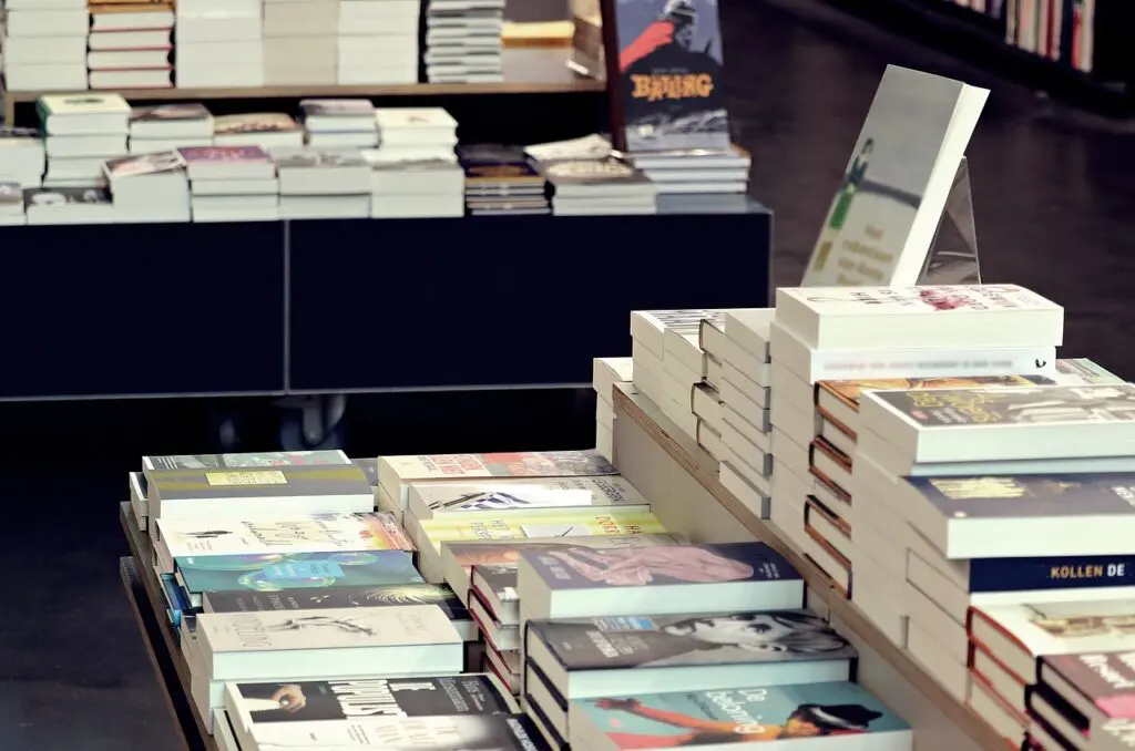 Leia sem parar os 25 melhores livros da literatura mundial contemporânea 3 library 4317851 1280 2