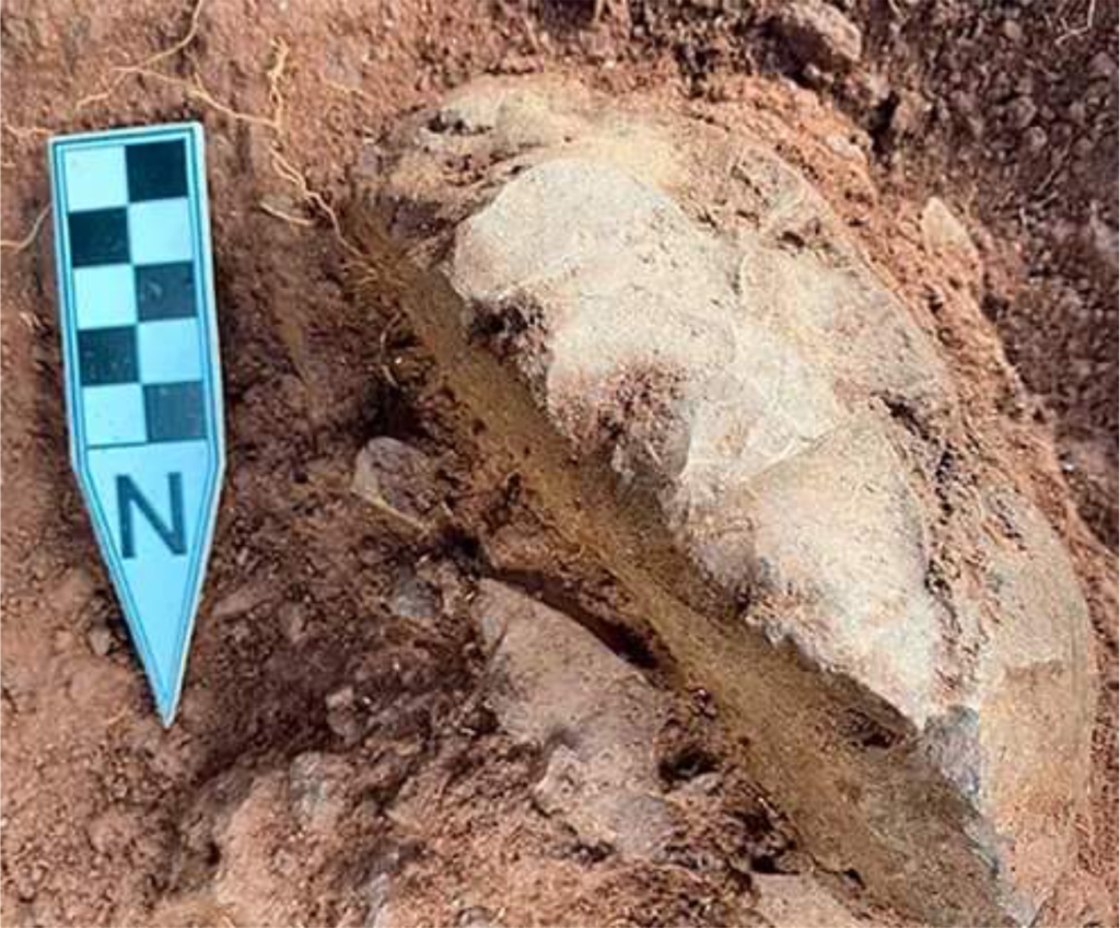 Descoberta arqueológica revela sítio de 3.800 anos no Morumbi em São Paulo 2 morumbi 3