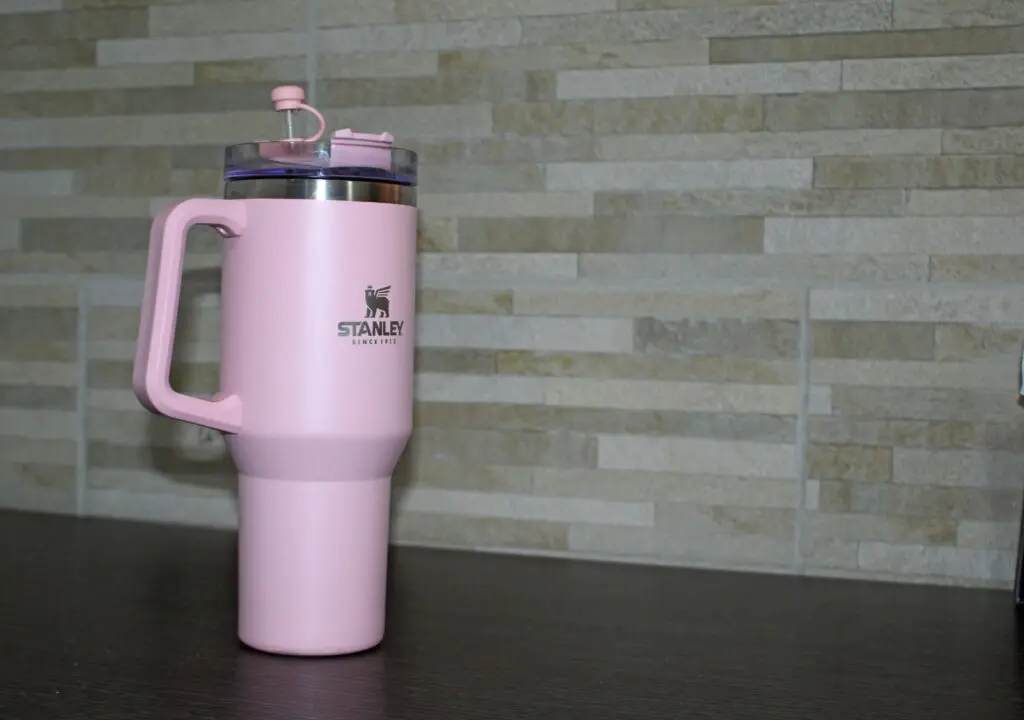 O presente ideal para cada tipo de Mãe 2 garrafa stanley