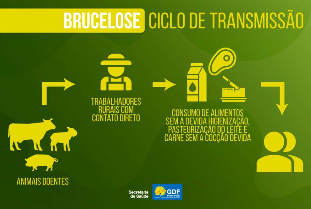 Barracão inicia vacinação de brucelose em gado bovino 2 Brucelose