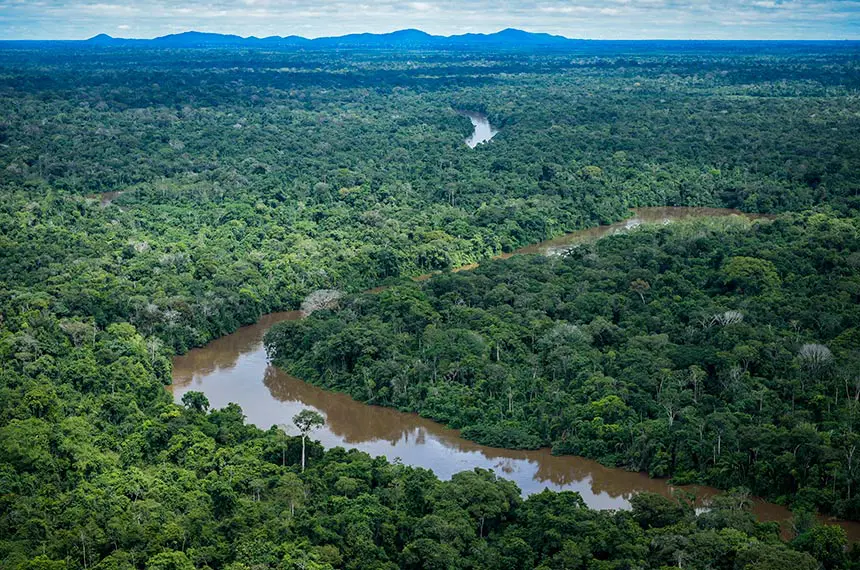 Desmatamento na Amazônia tem queda de 21,8% e no Pantanal, de 9,2% 2 Desmatamento