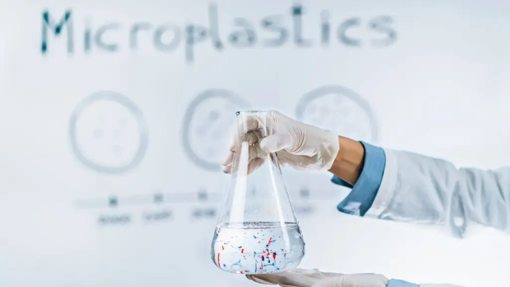 Pesquisa revela concentrações significativas de microplásticos em testículos de mamíferos 2 microplásticos