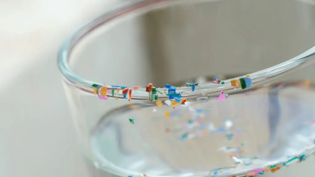 Pesquisa revela concentrações significativas de microplásticos em testículos de mamíferos 3 microplásticos