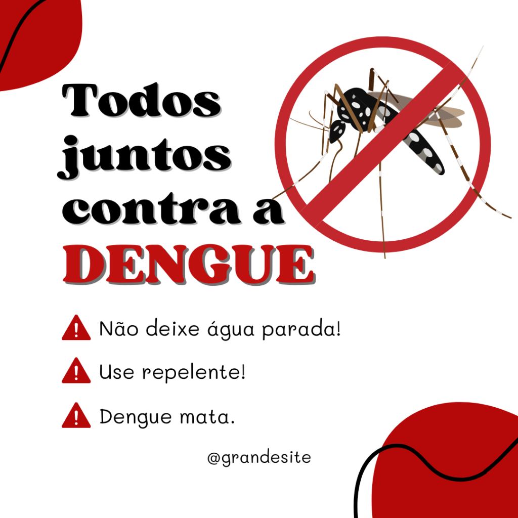 Com 6,3 milhões de casos prováveis, Brasil lidera ranking de dengue 2 dengue 1