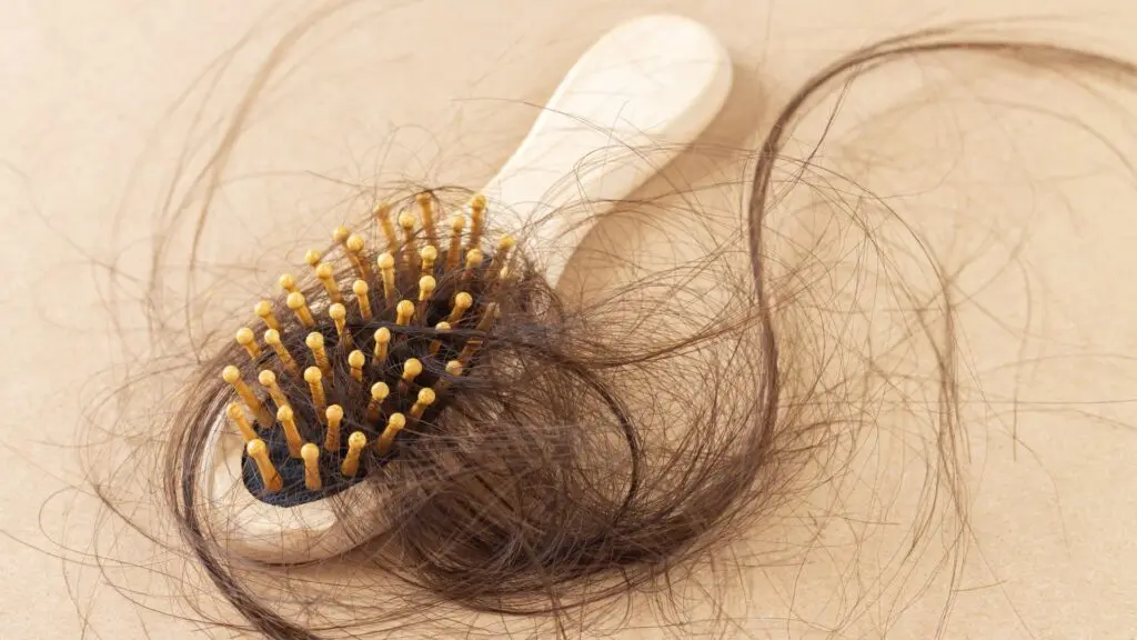 Motivos para seu cabelo estar caindo 3 cabelo
