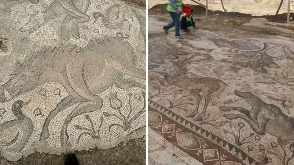 Mosaico de 84 metros quadrados é descoberto intacto na Turquia 2 Mosaico