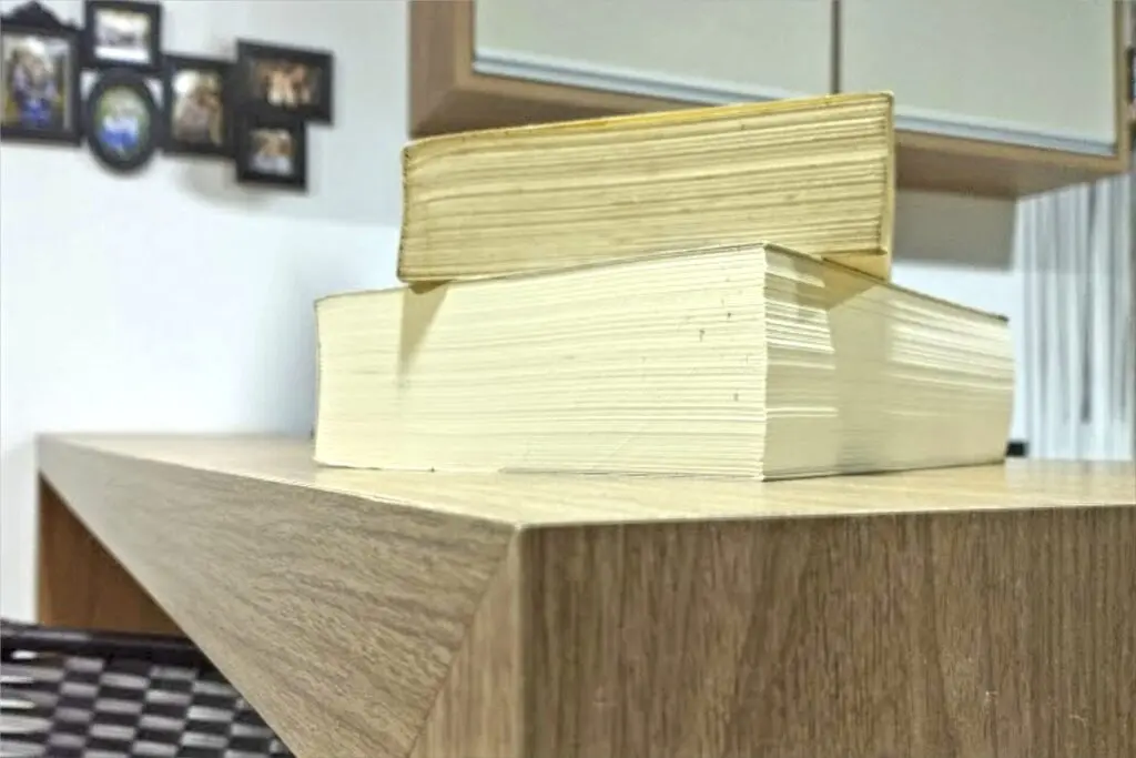 Clássicos monumentais: 9 livros com mais de 500 páginas que vão te prender do início ao fim 2 classicos 1 2