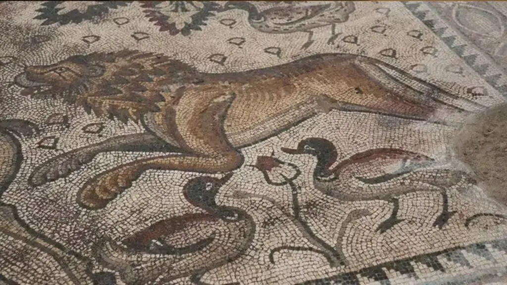Mosaico de 84 metros quadrados é descoberto intacto na Turquia 3 Mosaico