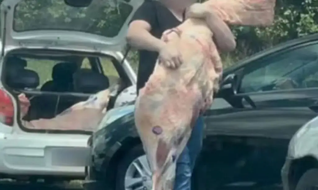 Empresário acusado de saque devolve 43kg de carne à polícia 2 O empresário é investigado por participar do furto de carga de carne, ocorrido no último domingo (12) em Realeza