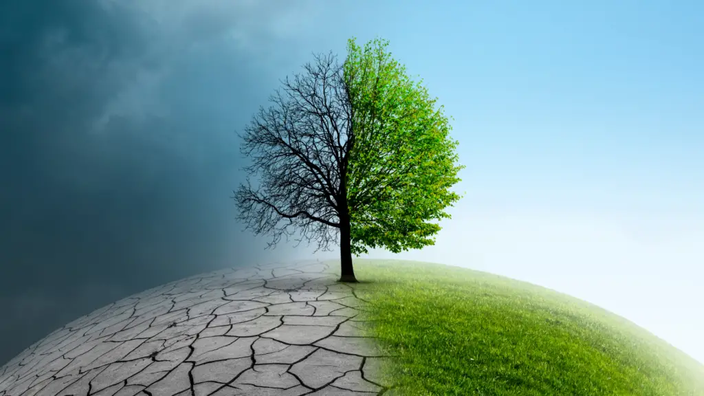 Paraná discute ações climáticas na CEMA 2025 2 Curitiba sediará a 5ª Conferência Estadual do Meio Ambiente nos dias 12 e 13 de março de 2025. O evento discutirá ações climáticas, sustentabilidade e governança ambiental no Paraná.