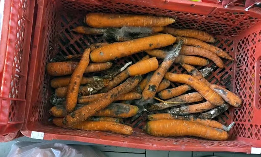 Carne estragada era “maquiada” com corante vermelho em estabelecimentos de SC 3 Em um dos estabelecimentos, corante vermelho era utilizado em carne estragada para “maquiá-las” e deixá-las com uma aparência de frescor