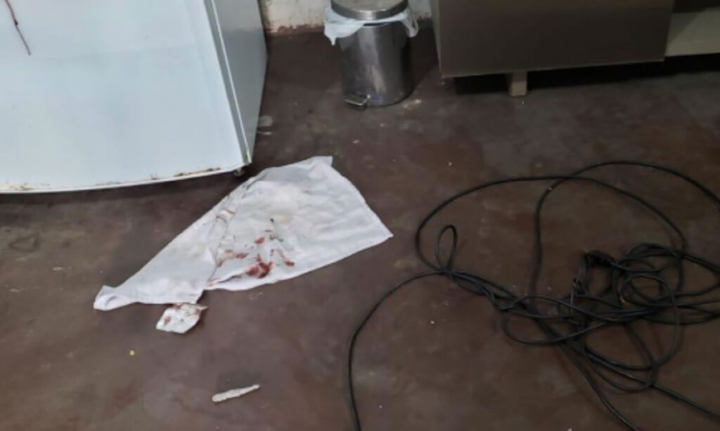 Irmãos são presos após agredir e ameaçar idoso durante roubo em São Miguel do Oeste 2 Os irmãos — um homem e uma mulher – foram presos preventivamente pela Polícia Civil