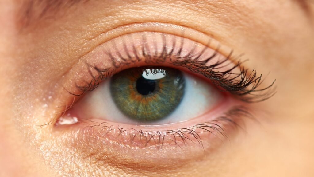 As cores de olhos mais comuns no mundo 4 cores de olhos