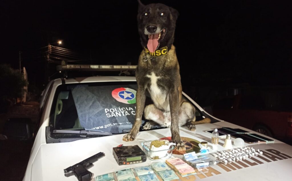PM estoura ponto de venda de drogas e prende homem por tráfico no Bairro Peperiguaçu 4 Ação da PM de Dionísio Cerqueira ocorreu na noite deste sábado. Além do homem preso, dois usuários também foram detidos