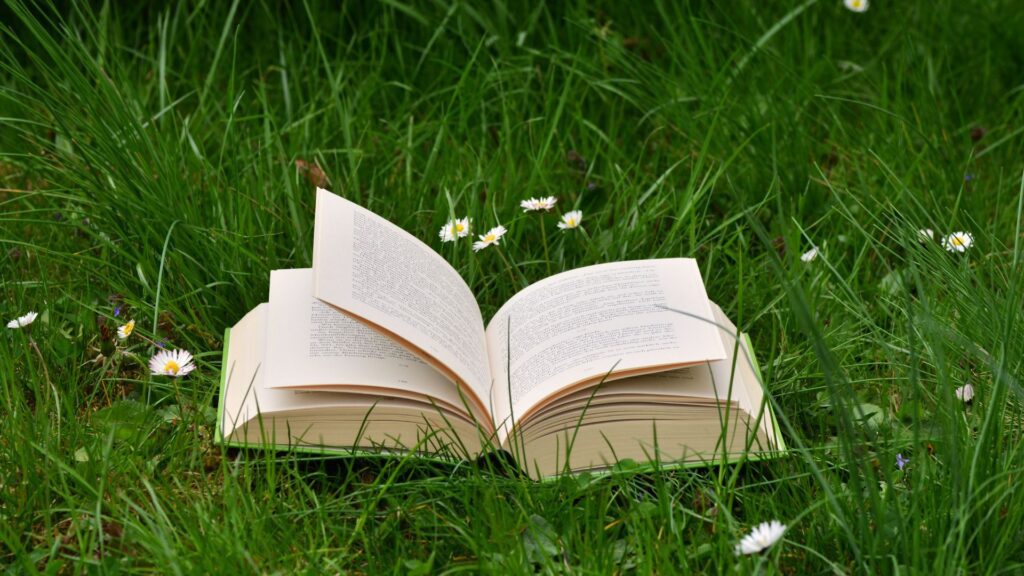 Descubra o livro perfeito para cada signo do zodíaco 2 signo