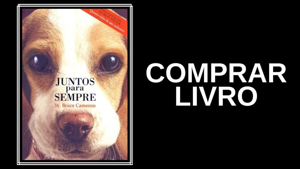 25 livros de romance que no final um dos dois morre 18 livros de romance