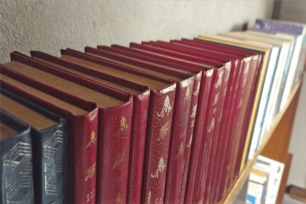 Os 30 livros essenciais da literatura segundo especialista da Universidade de Yale 2 essenciais