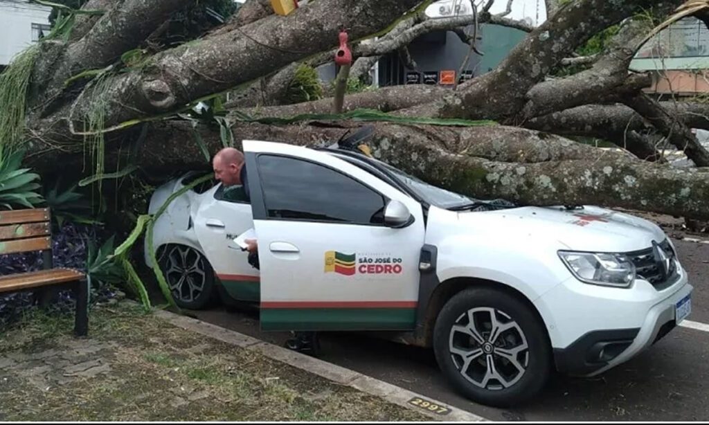 Motorista da saúde de Cedro sai ileso após carro ser atingido por árvore 3 kyuimy