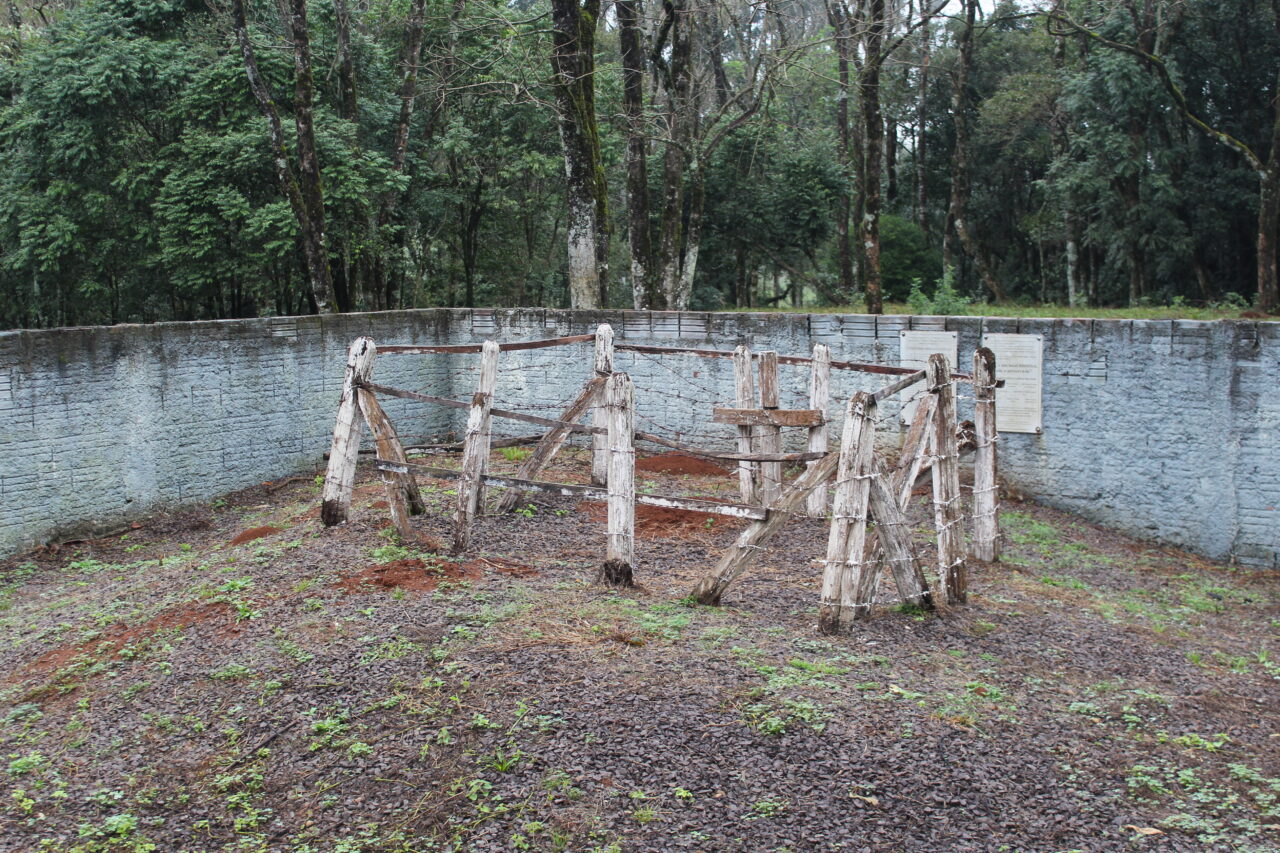 Coluna Prestes: 100 anos das sangrentas batalhas em Dionísio Cerqueira e Campo Erê 3 IMG 3975