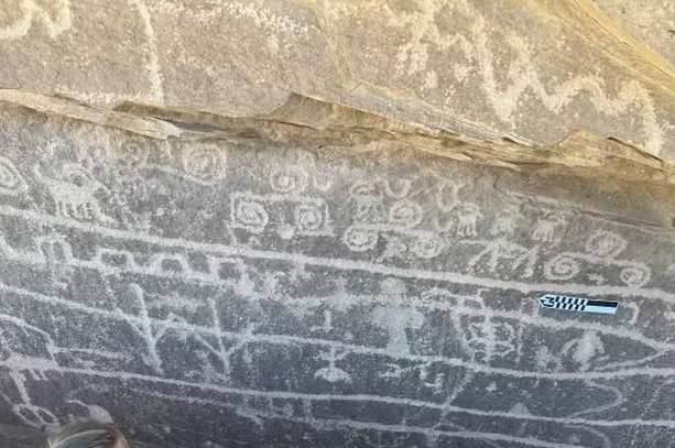 Capturar 9