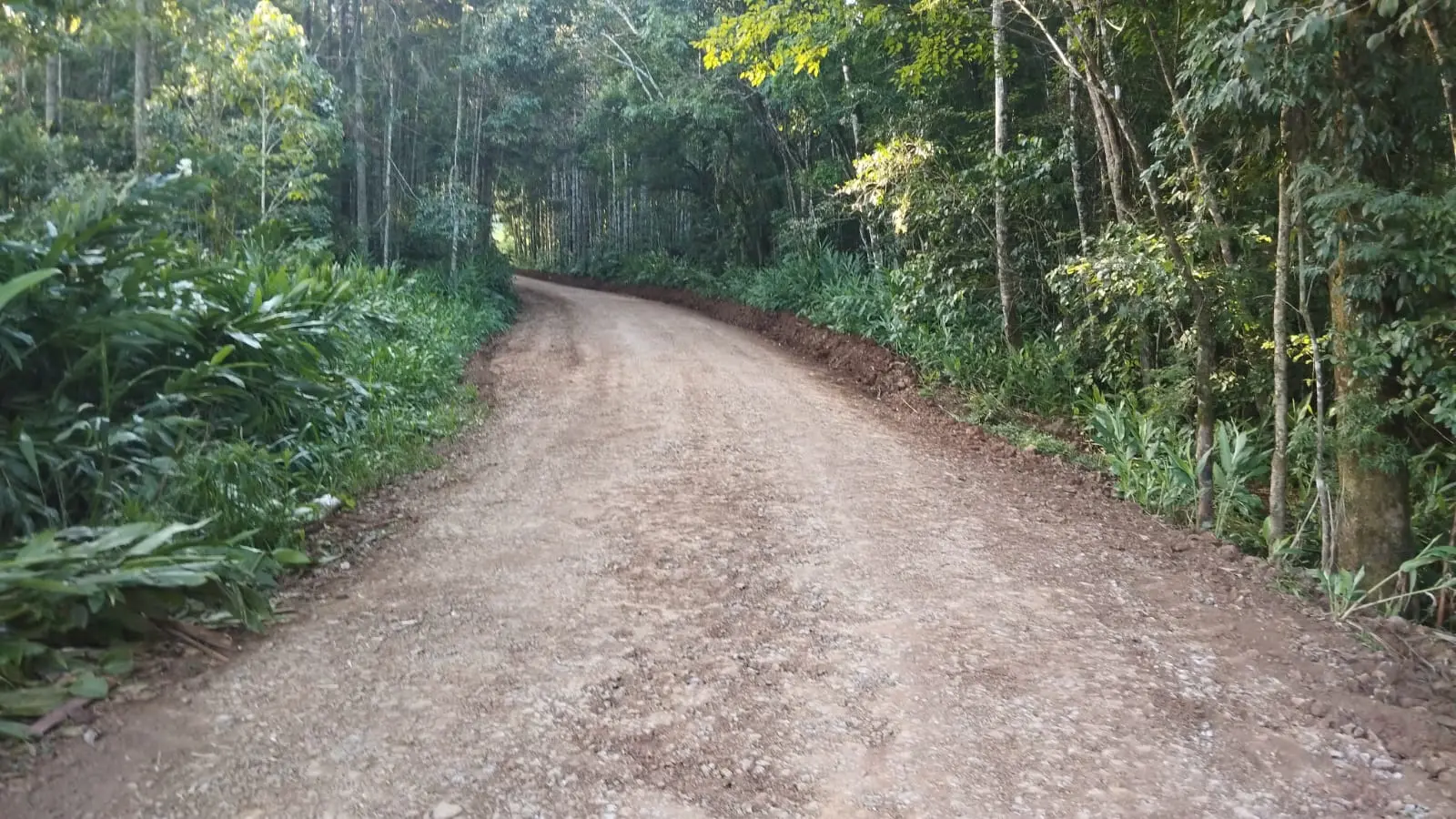 BJS estradas 1