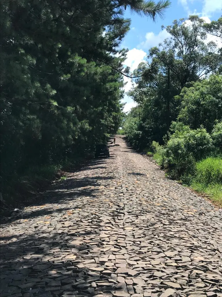 DC obras de calcamento no acesso ao Ecan