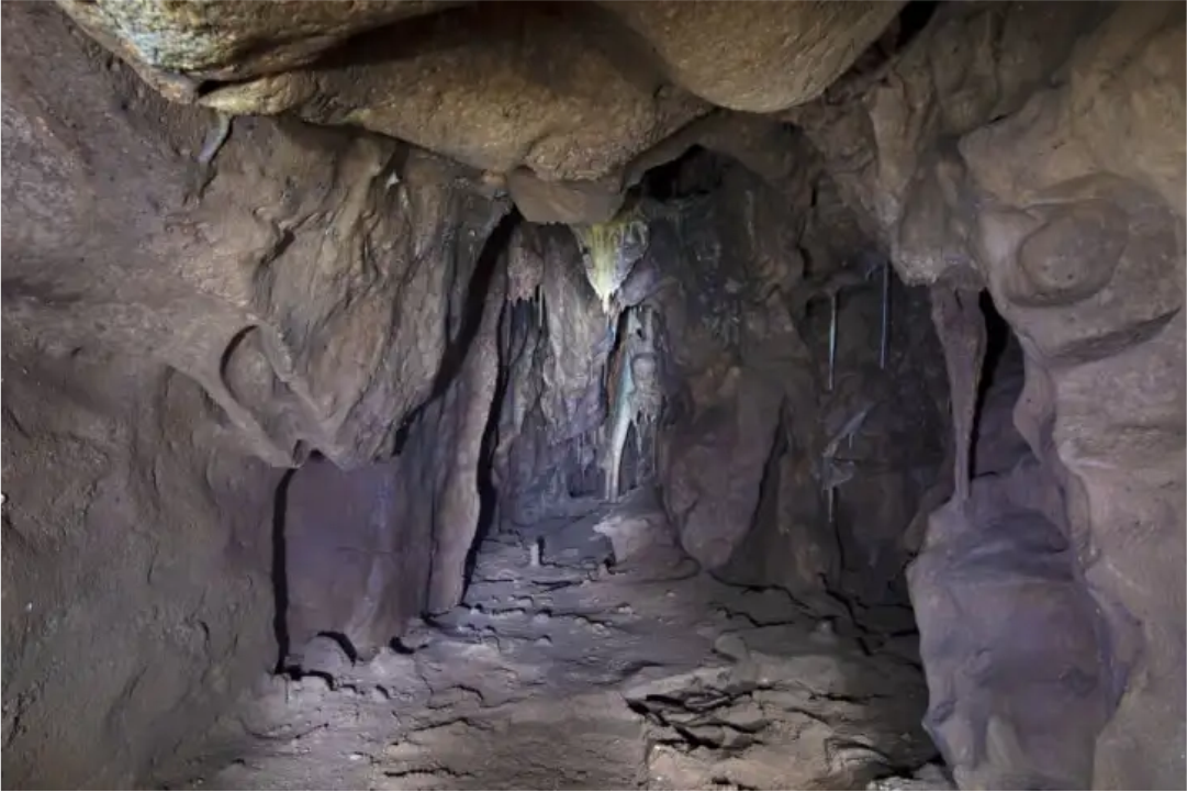 caverna 40 mil anos