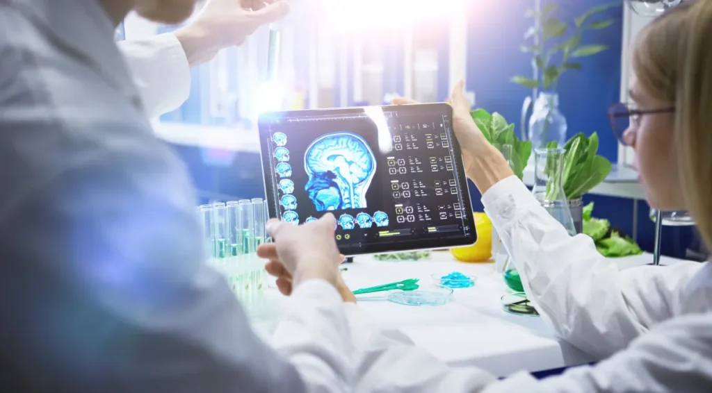 cerebro estudo