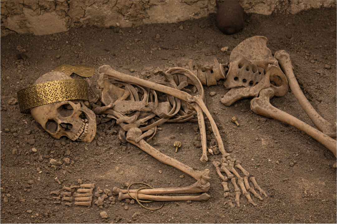 esqueleto de 1000 anos