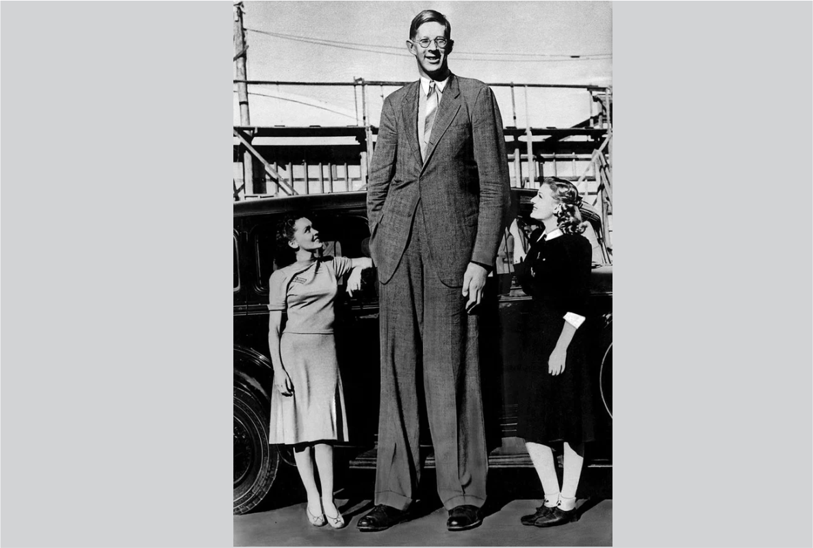 homem mais alto do mundo