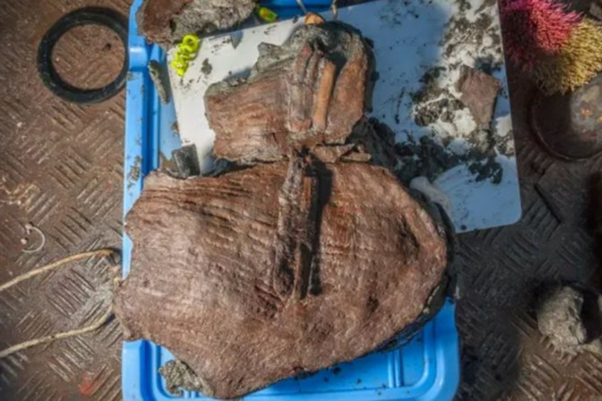 Uma cesta de fruta de 2 mil anos encontrada em Thonis-Heracleion - Divulgação/Fundação Hilti - Christoph Gerigk/Franck Goddio