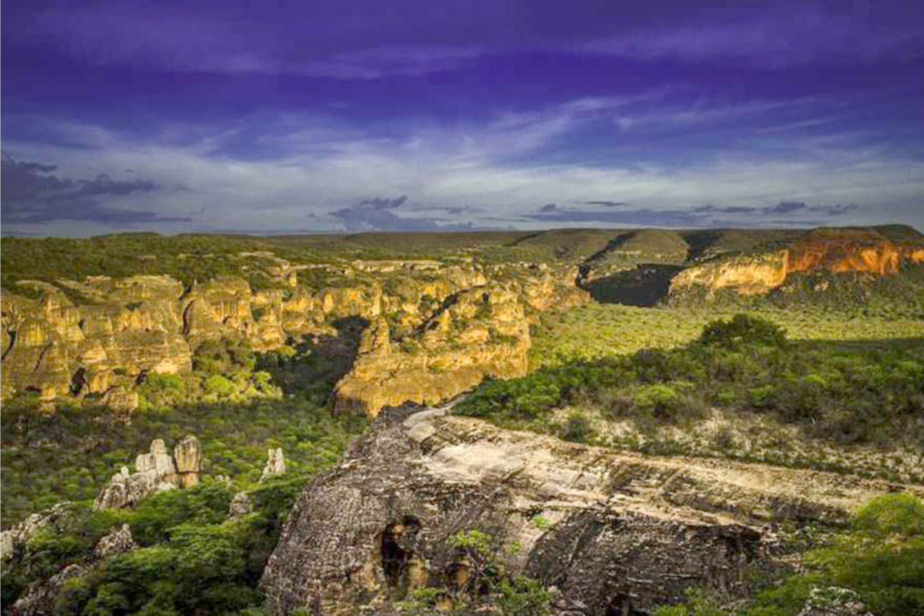 parque serra da capivara