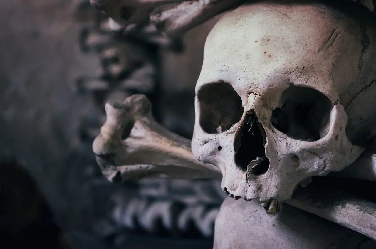 skull 726253 1280