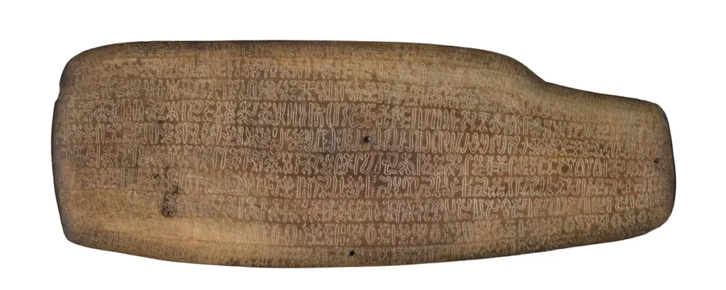 26191600116344