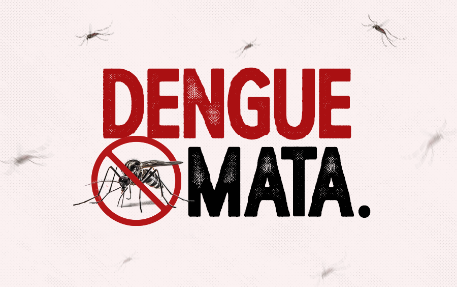 banner noticia dengue mata