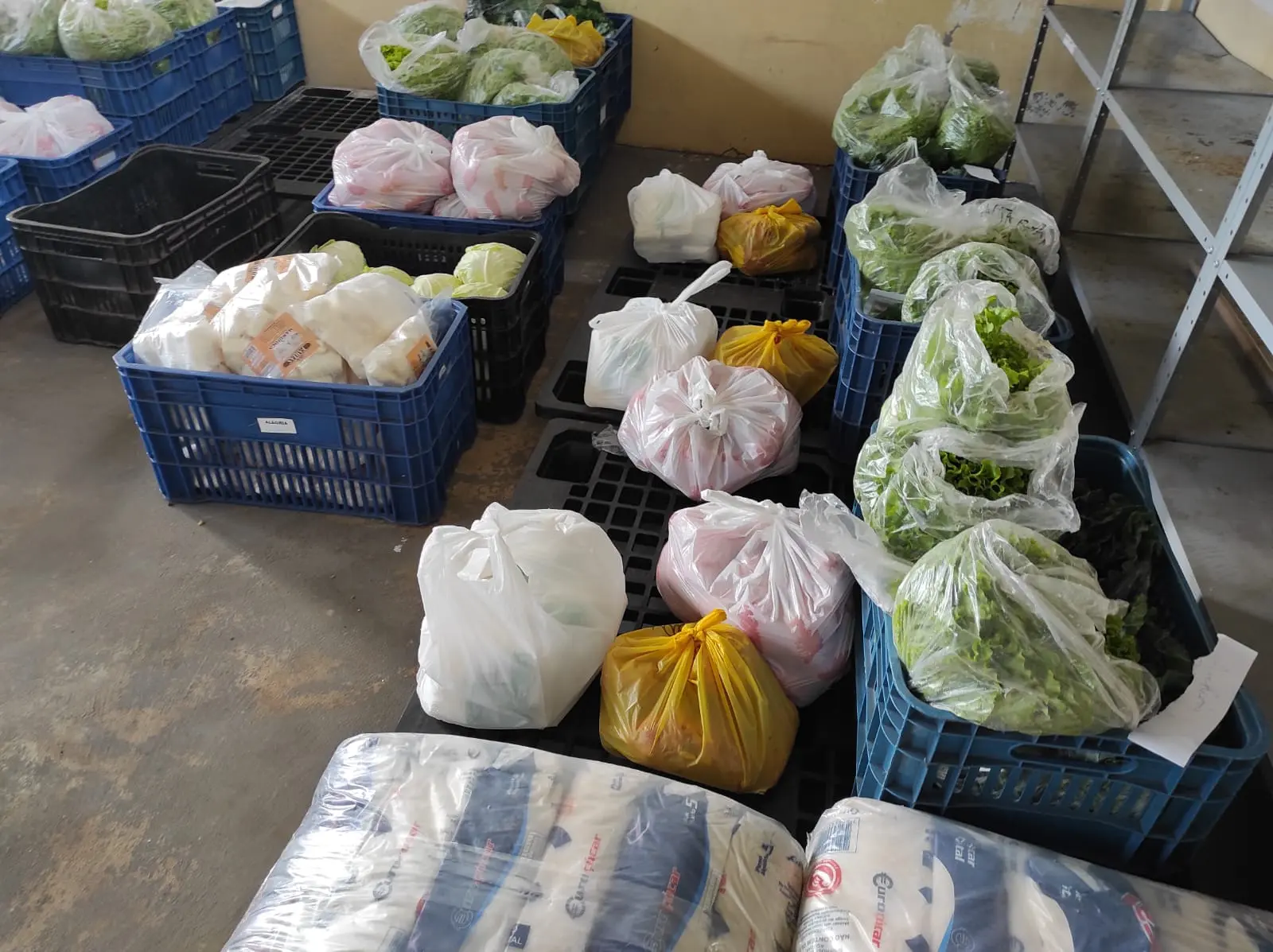 bc compra local dde alimentos para escolas