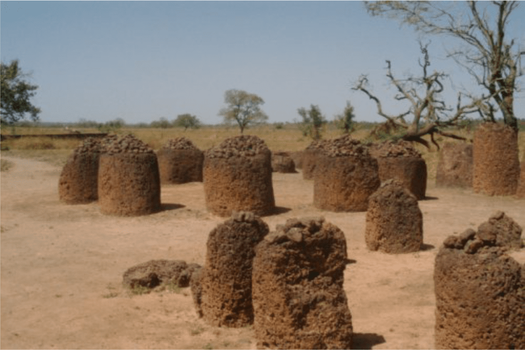 circulos de pedra 1
