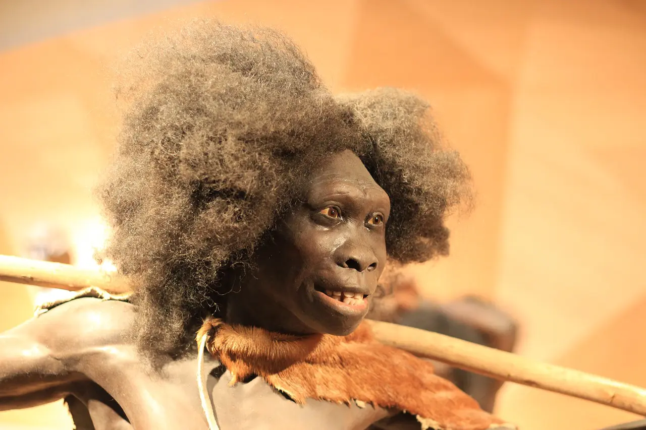 neandertal 4731928 1280