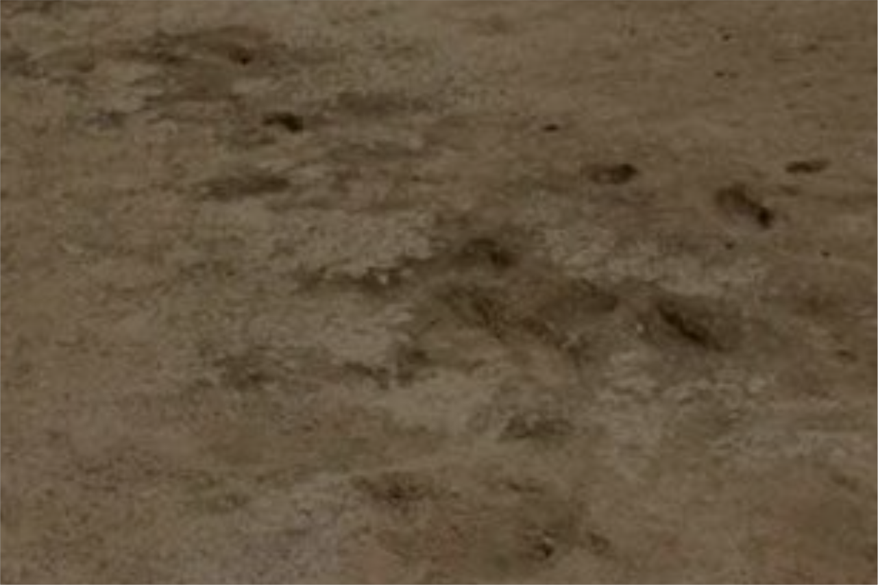 pezinhos humanos