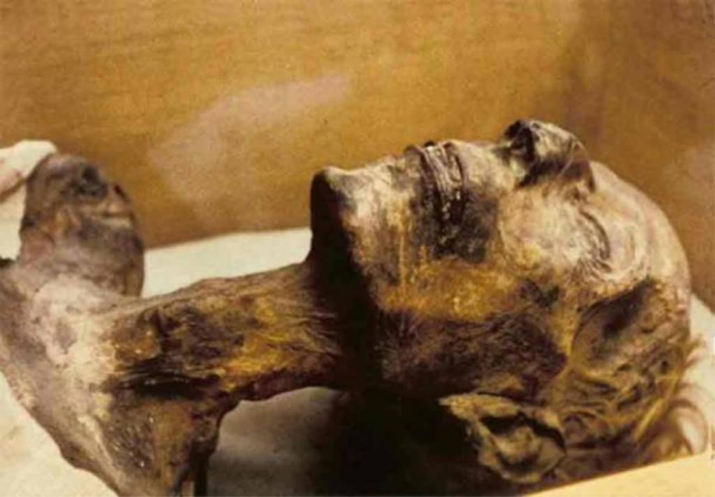 ramses ii