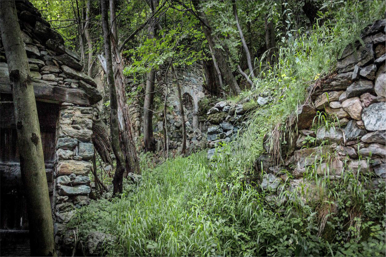 ruinas selva amazonia
