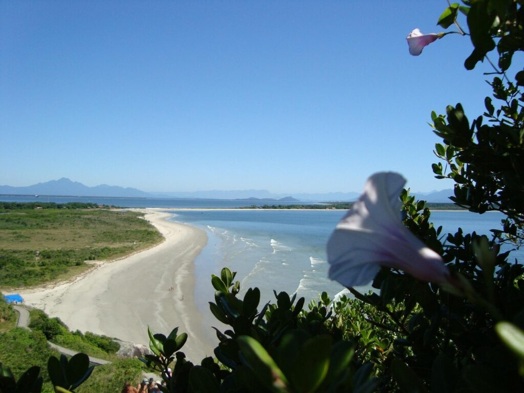 beach 184411 1280
