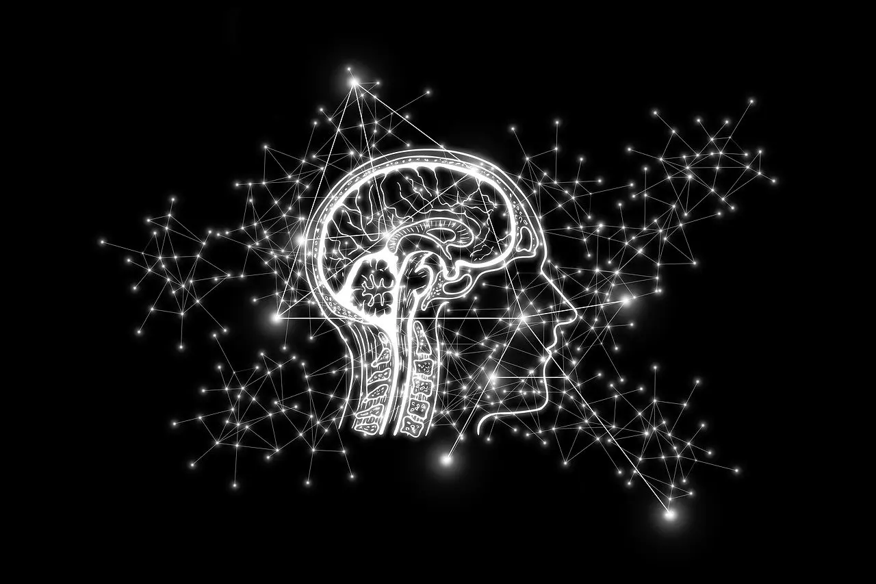 chip cerebral 1