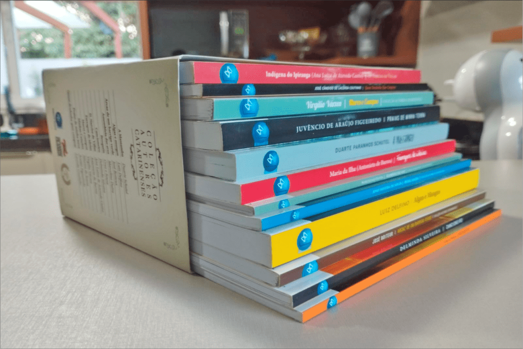 melhores escritores de Santa da Catarina 2