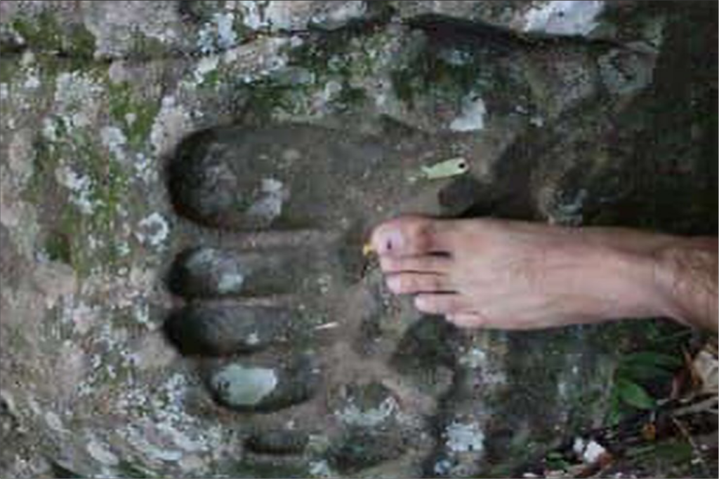pegadas gigantes 3