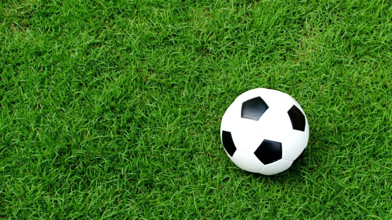 Guia dos jogos de hoje (29/04/24): onde assistir futebol ao vivo e horários das partidas